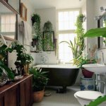 Польза растений, расположенных в ванной комнате, очевидна