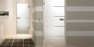 Стеклянные двери для ванной - сравниваем с туалетом