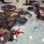 Ванная комната в морском стиле